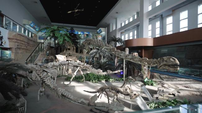 中國地質(zhì)大學(xué)（北京）博物館中加馬門溪龍化石