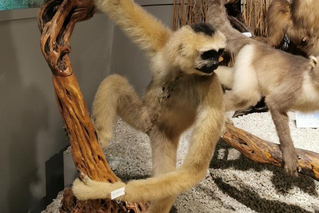 20220418175157410480