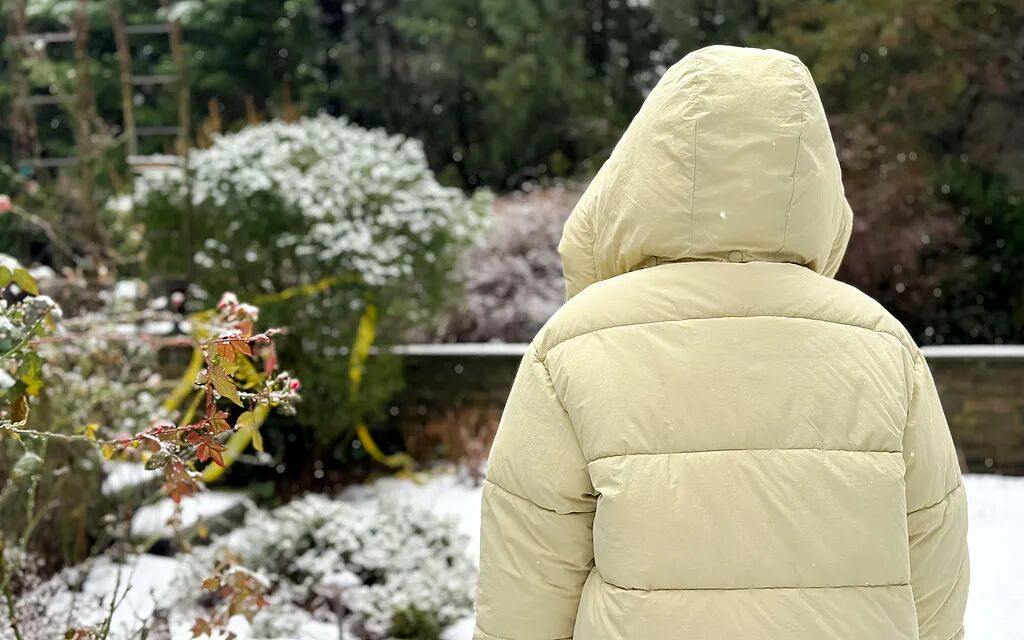 售價千元羽絨服充絨量少引熱議，選購羽絨服如何避坑？